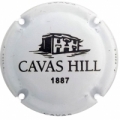 CAVAS HILL 131847 x 