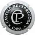 CASTELO DE PEDREGOSA 50825 x 15558 v 